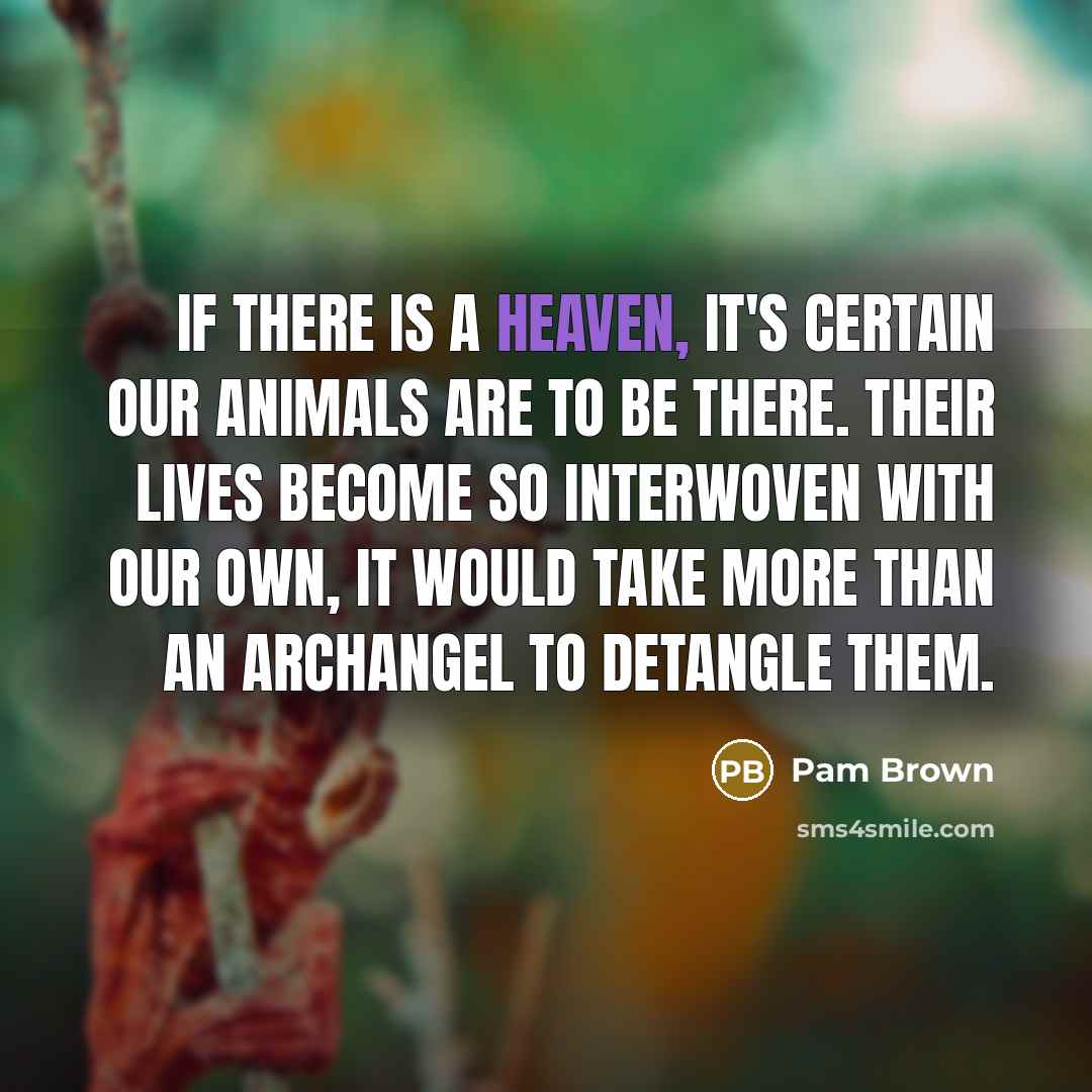 “If there is a heaven, it's certain our animals are…” quote by Pam Brown