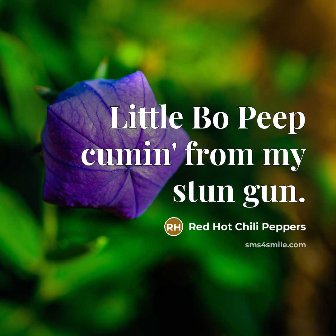 “Little Bo Peep cumin' from my stun gun.…” quote by Red Hot Chili Peppers