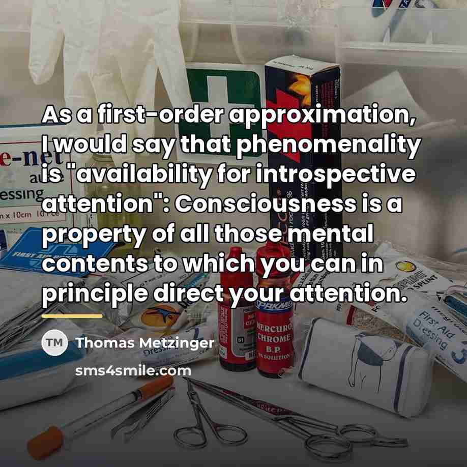 “As a first-order approximation, I would say that phenomenality is…” quote by Thomas Metzinger