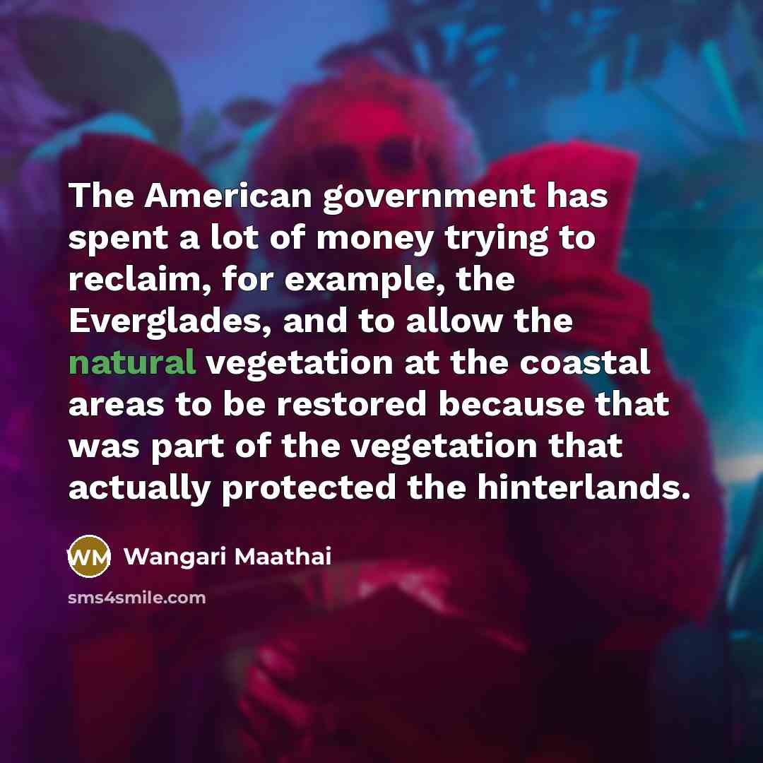 “The American government has spent a lot of money trying…” quote by Wangari Maathai