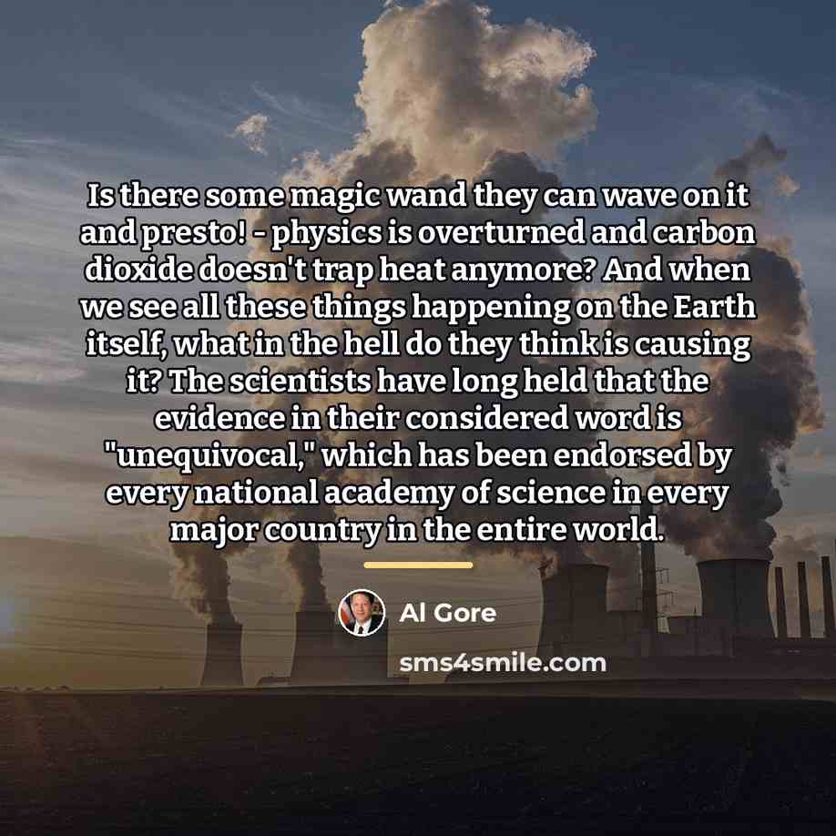 “Is there some magic wand they can wave on it…” quote by Al Gore