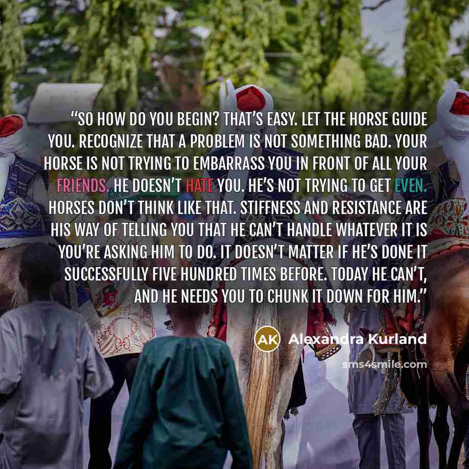 “So how do you begin? That’s easy. Let the horse guide you. Recognize that a problem is not something bad. Your horse is not trying to embarrass you in front of all your friends. He doesn’t hate you. He’s not trying to get even. Horses don’t think like that. Stiffness and resistance are his way of…” quote by Alexandra Kurland