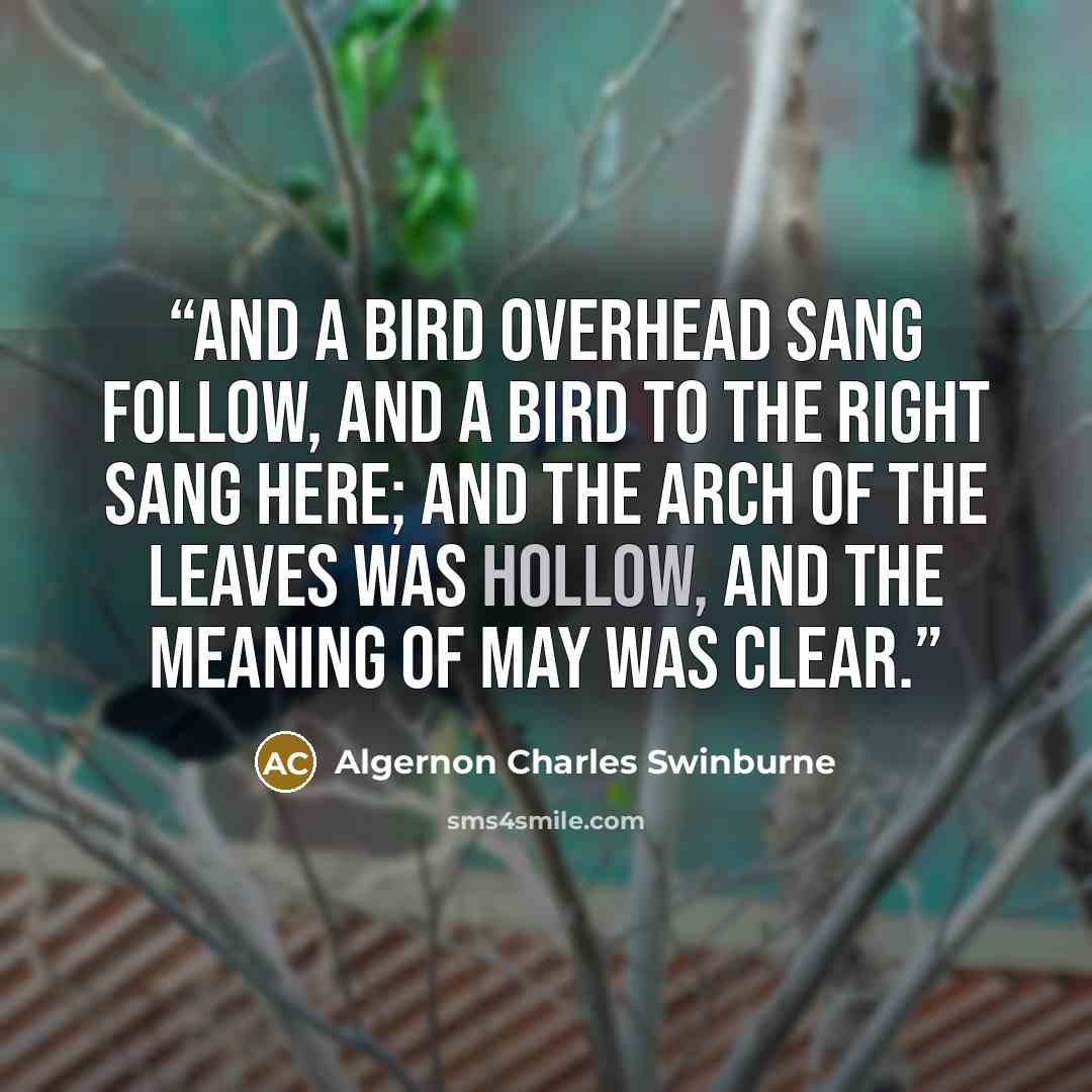“And a bird overhead sang Follow, And a bird to the right sang Here; And the arch of the leaves was hollow, And the meaning of May was clear.” quote by Algernon Charles Swinburne