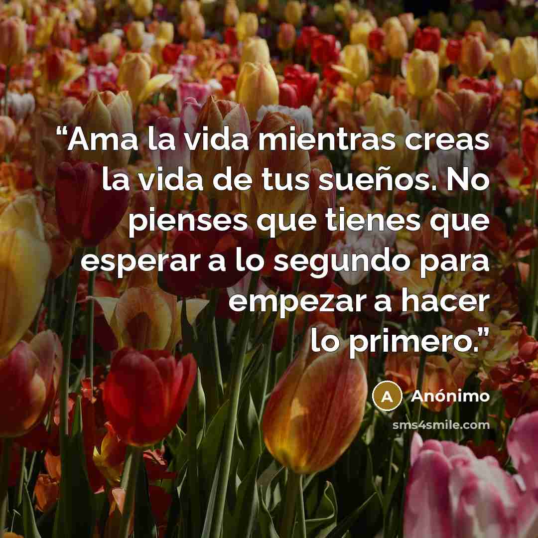 “Ama la vida mientras creas la vida de tus sueños. No pienses que tienes que esperar a lo segundo para empezar a hacer lo primero.” quote by Anónimo