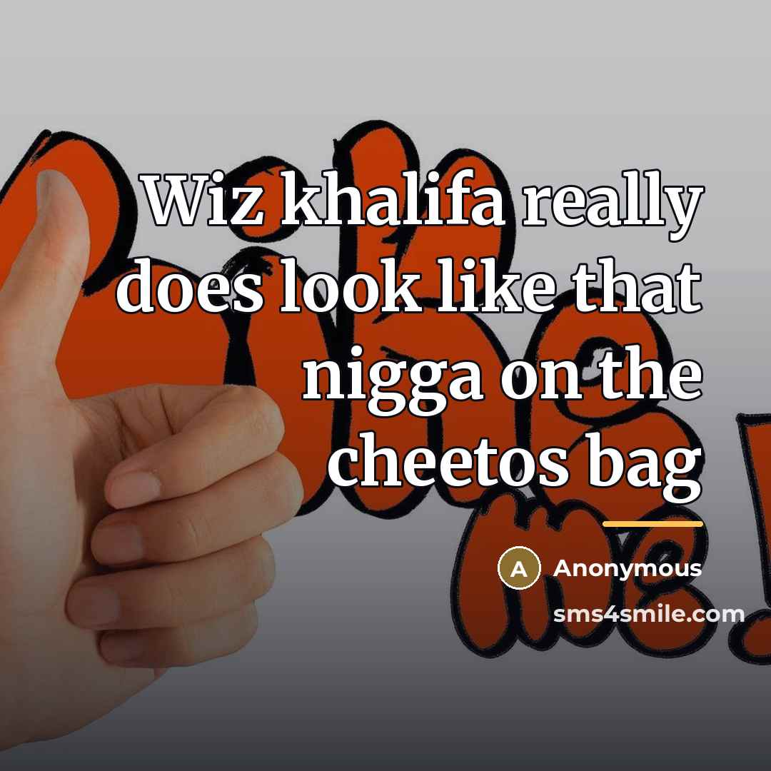 “Wiz khalifa really does look like that nigga on the…” quote by Anonymous