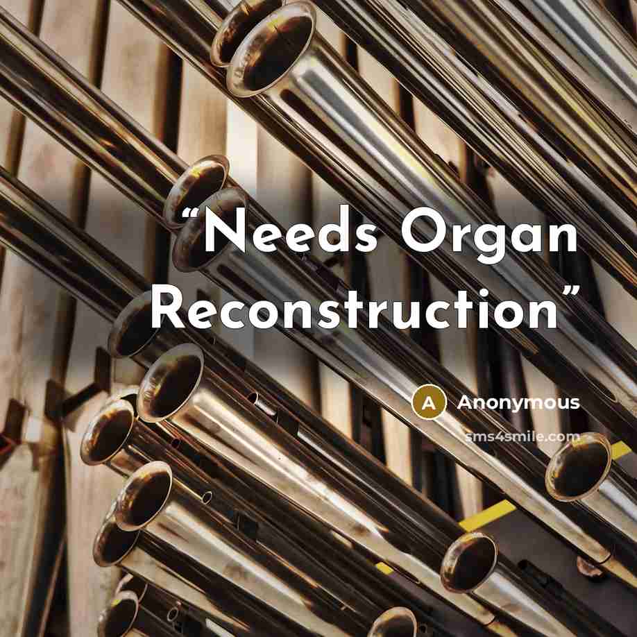 “Needs Organ Reconstruction” quote by Anonymous