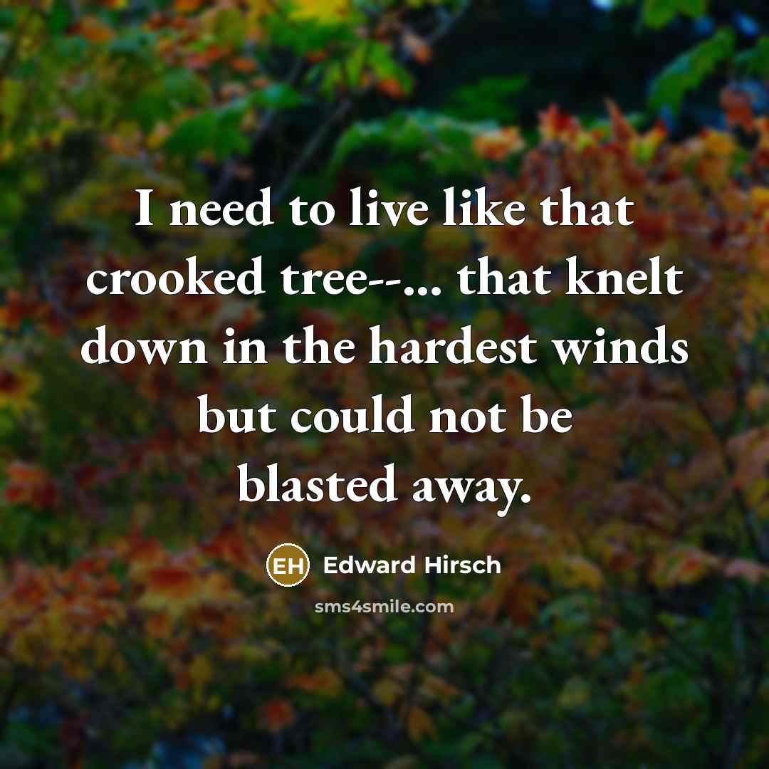 “I need to live like that crooked tree--... that knelt…” quote by Edward Hirsch