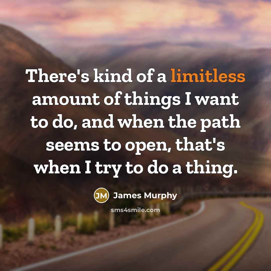 “There's kind of a limitless amount of things I want…” quote by James Murphy