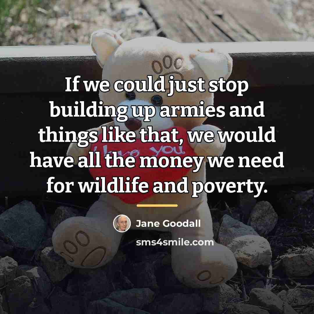“If we could just stop building up armies and things…” quote by Jane Goodall