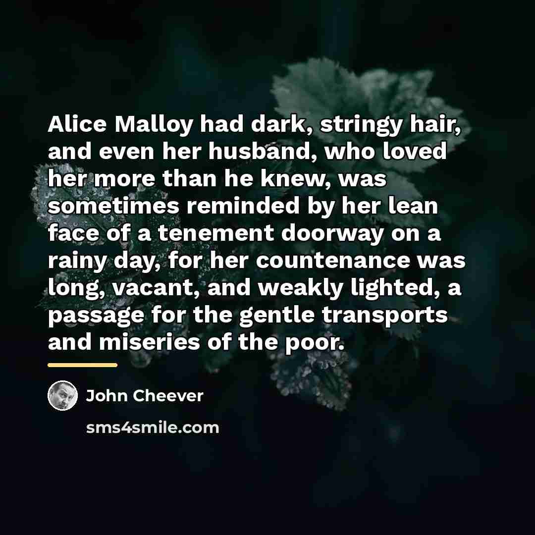 “Alice Malloy had dark, stringy hair, and even her husband,…” quote by John Cheever
