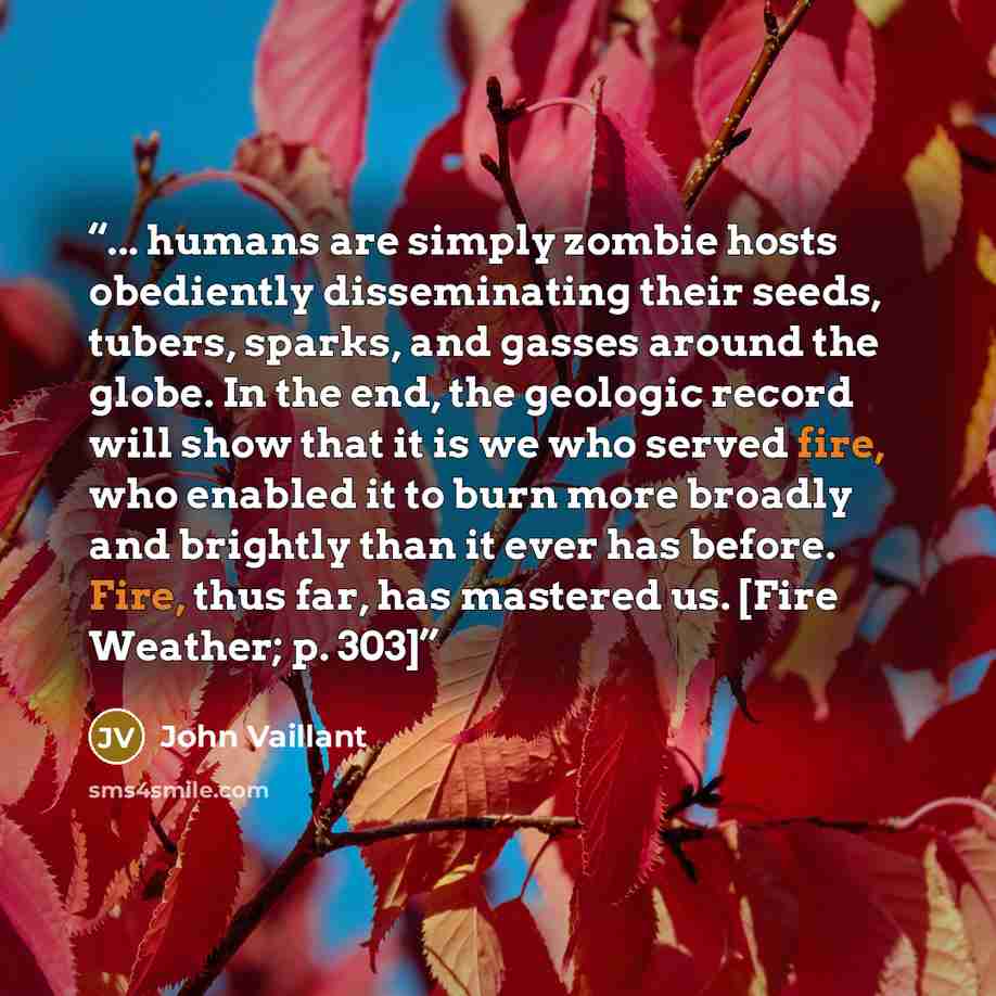 “... humans are simply zombie hosts obediently disseminating their seeds, tubers, sparks, and gasses around the globe. In the end, the geologic record will show that it is we who served fire, who enabled it to burn more broadly and brightly than it ever has before. Fire, thus far, has mastered us…” quote by John Vaillant