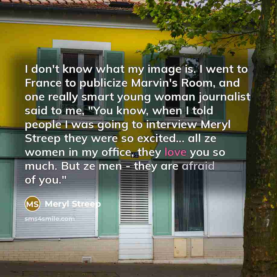 “I don't know what my image is. I went to…” quote by Meryl Streep
