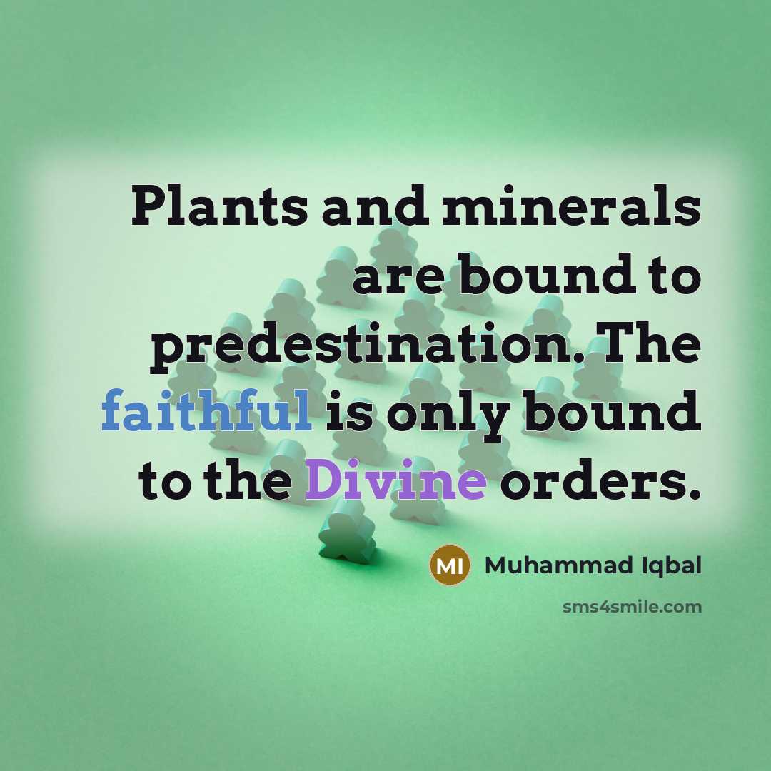 “Plants and minerals are bound to predestination. The faithful is…” quote by Muhammad Iqbal