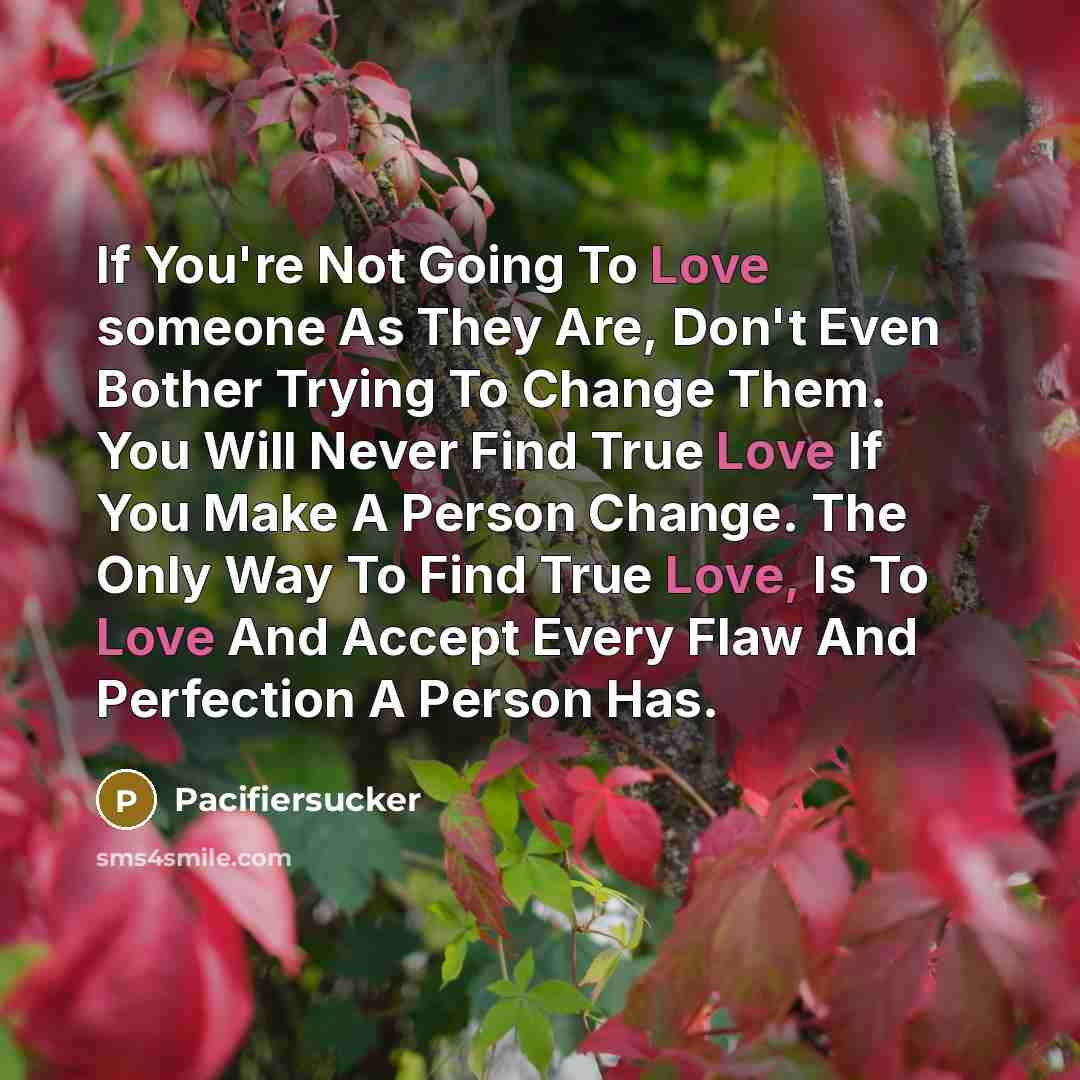 “If You're Not Going To Love someone As They Are,…” quote by Pacifiersucker