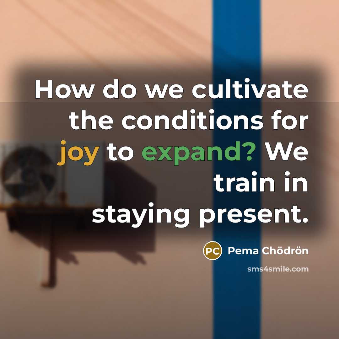 “How do we cultivate the conditions for joy to expand?…” quote by Pema Chodron