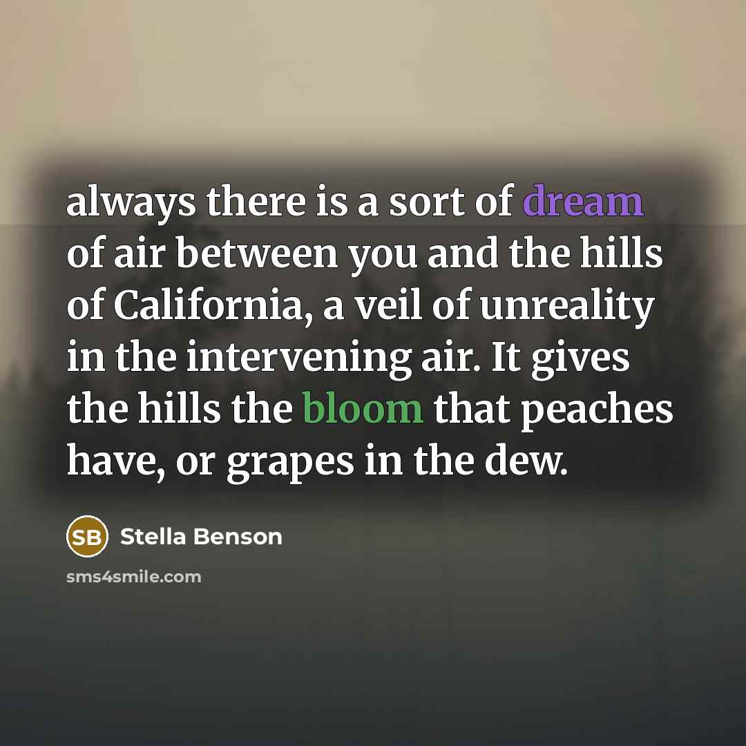 “always there is a sort of dream of air between…” quote by Stella Benson