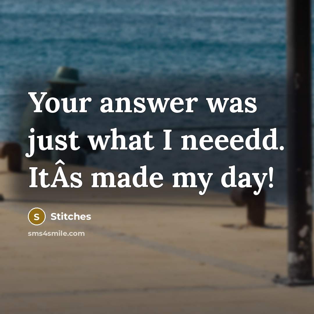 “Your answer was just what I neeedd. ItÂs made my day!” quote by Stitches