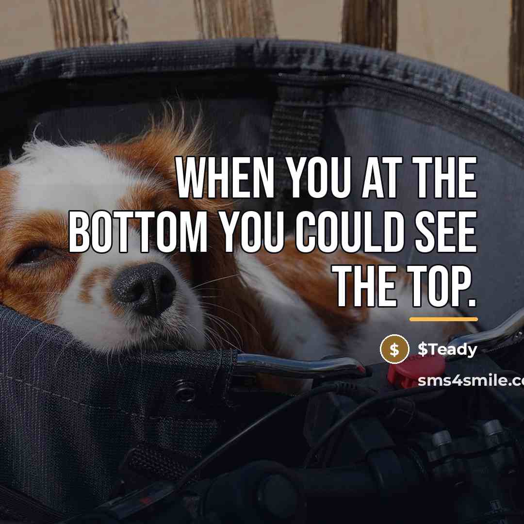 “When you at the bottom you could see the top.…” quote by $Teady