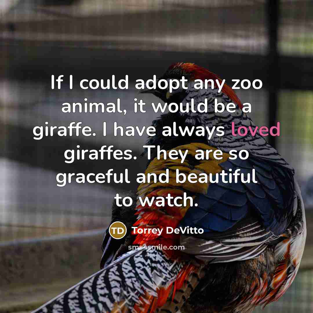 “If I could adopt any zoo animal, it would be…” quote by Torrey DeVitto