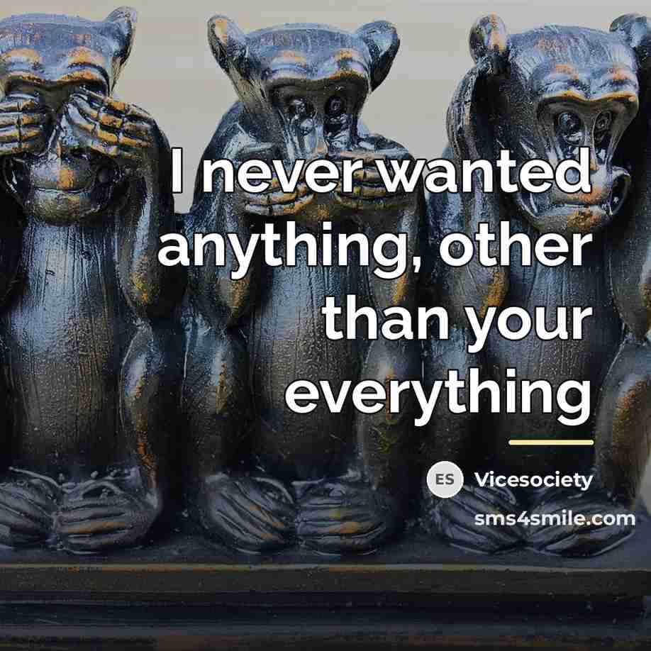 “I never wanted anything, other than your everything…” quote by Vicesociety