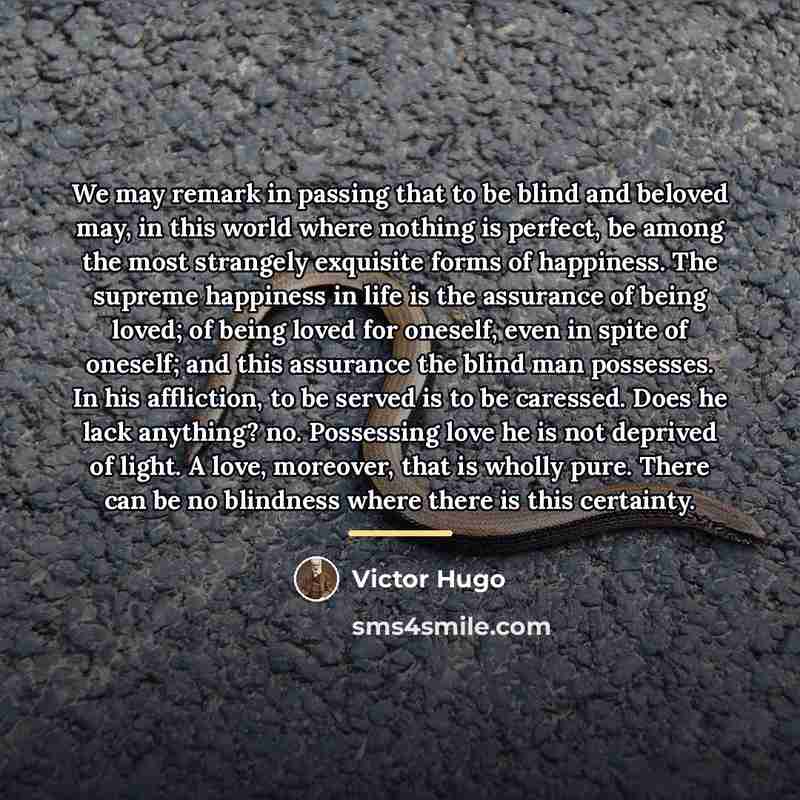 “We may remark in passing that to be blind and…” quote by Victor Hugo