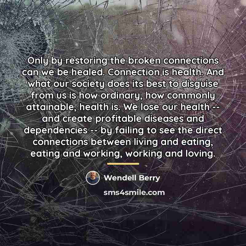 “Only by restoring the broken connections can we be healed.…” quote by Wendell Berry