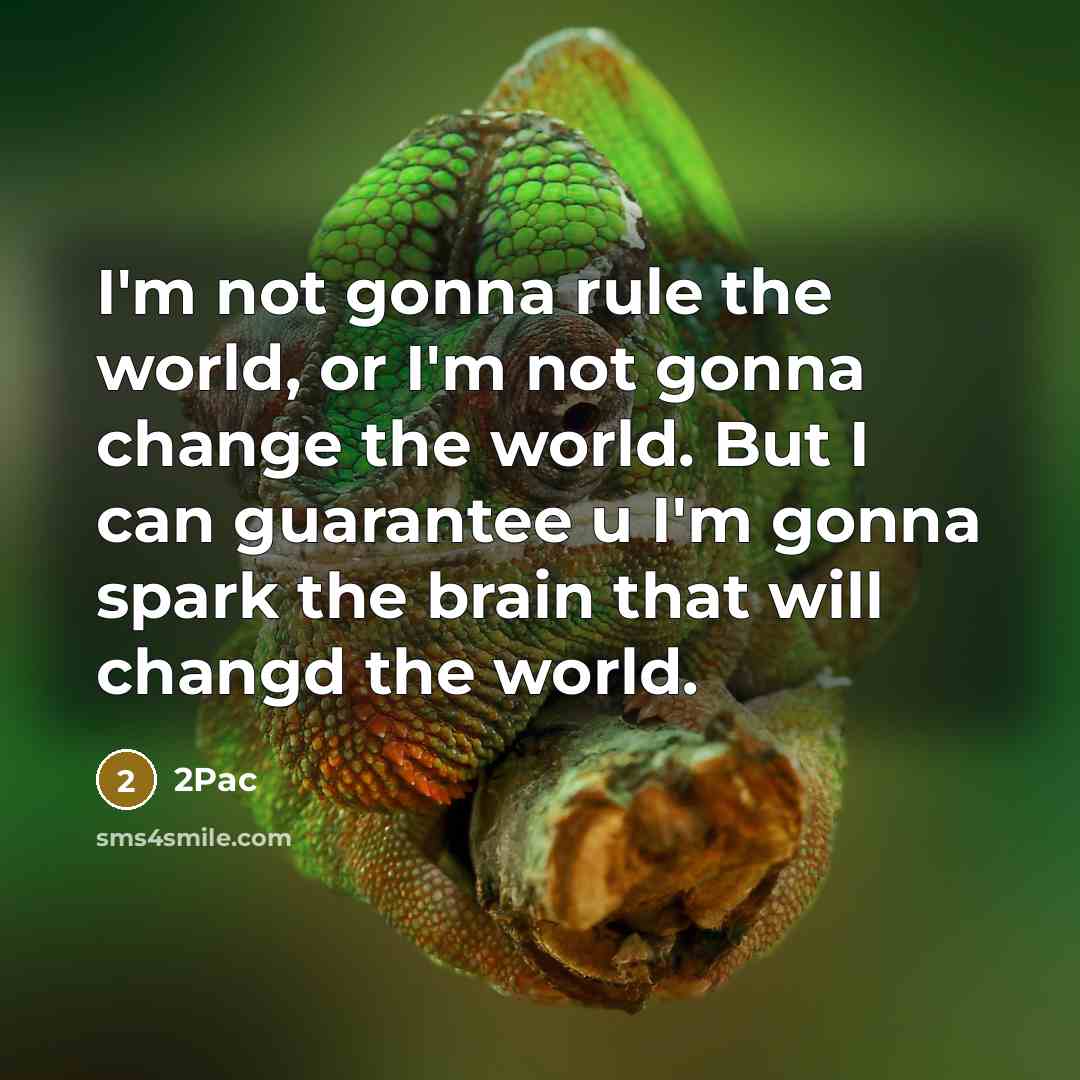 “I'm not gonna rule the world, or I'm not gonna…” quote by 2pac