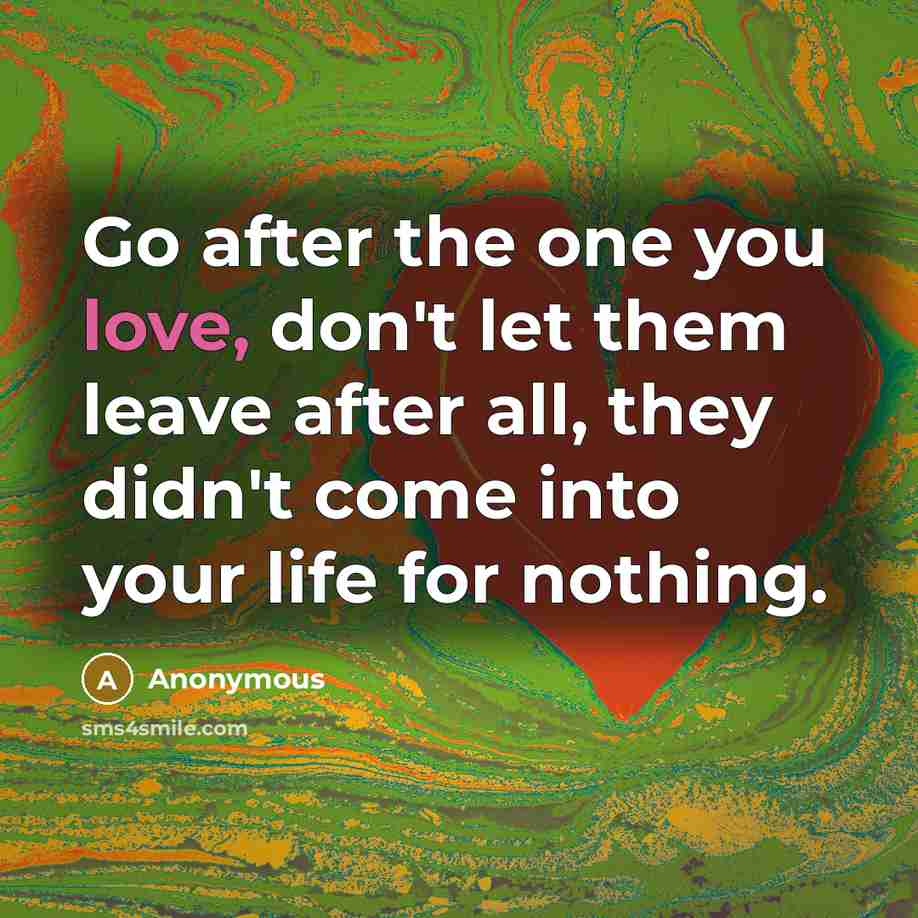 “Go after the one you love, don't let them leave after all, they didn't come into your life for nothing.” quote by Anonymous