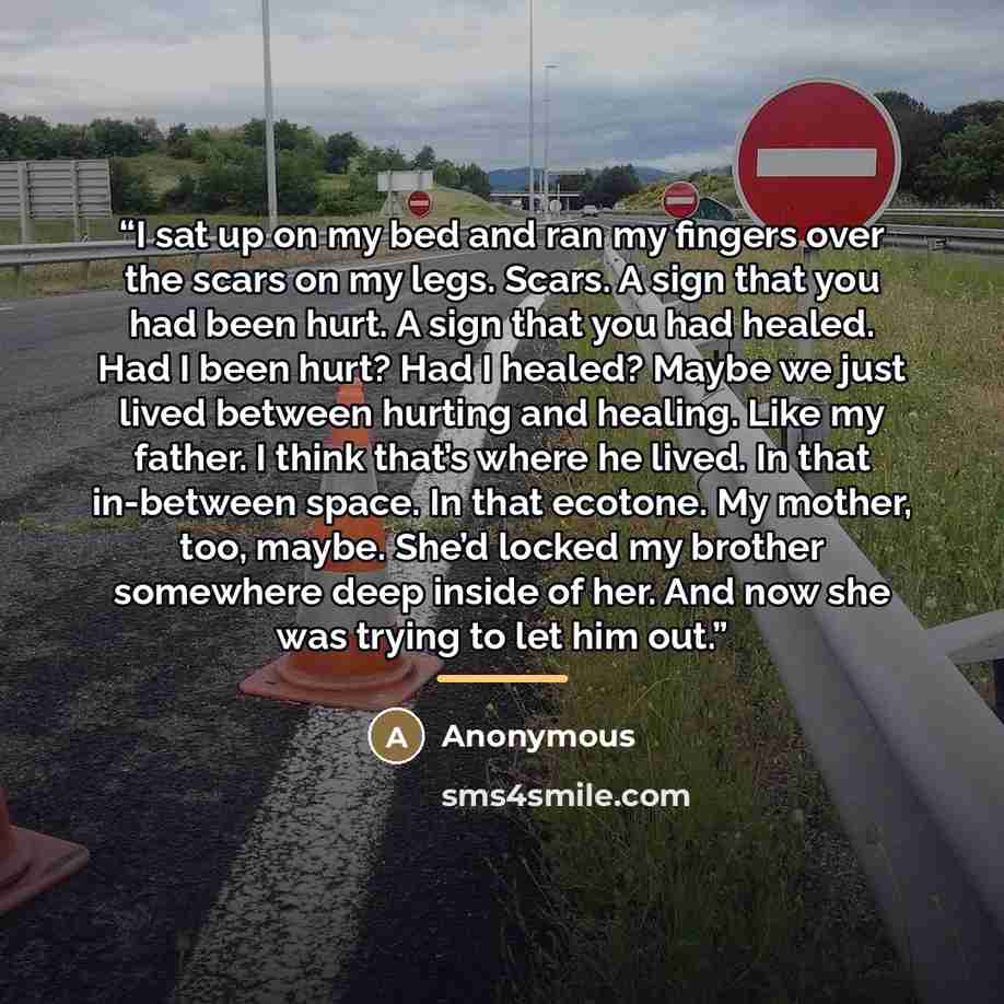 “I sat up on my bed and ran my fingers over the scars on my legs. Scars. A sign that you had been hurt. A sign that you had healed. Had I been hurt? Had I healed? Maybe we just lived between hurting and healing. Like my father. I think that’s where he lived. In that in-between space. In that…” quote by Anonymous