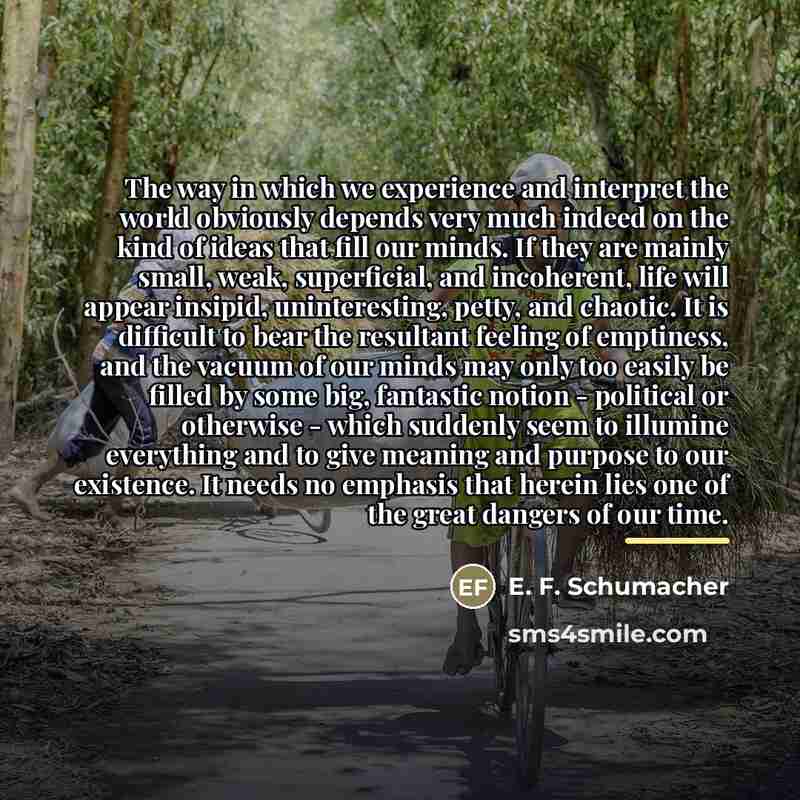 “The way in which we experience and interpret the world…” quote by E. F. Schumacher