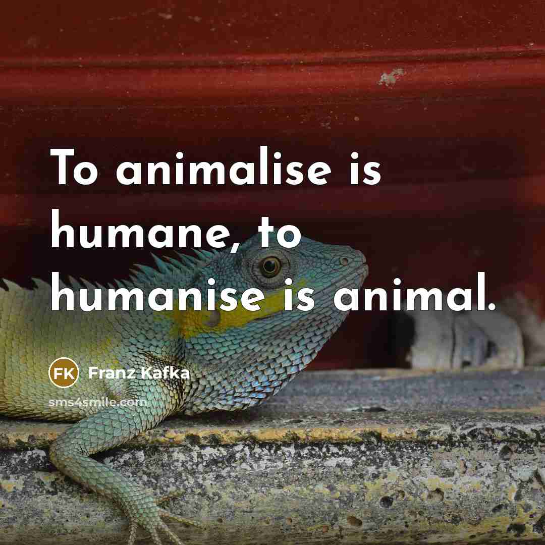 “To animalise is humane, to humanise is animal.…” quote by Franz Kafka