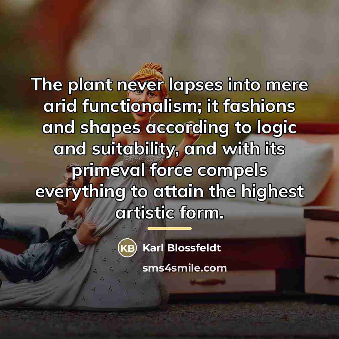 “The plant never lapses into mere arid functionalism; it fashions…” quote by Karl Blossfeldt