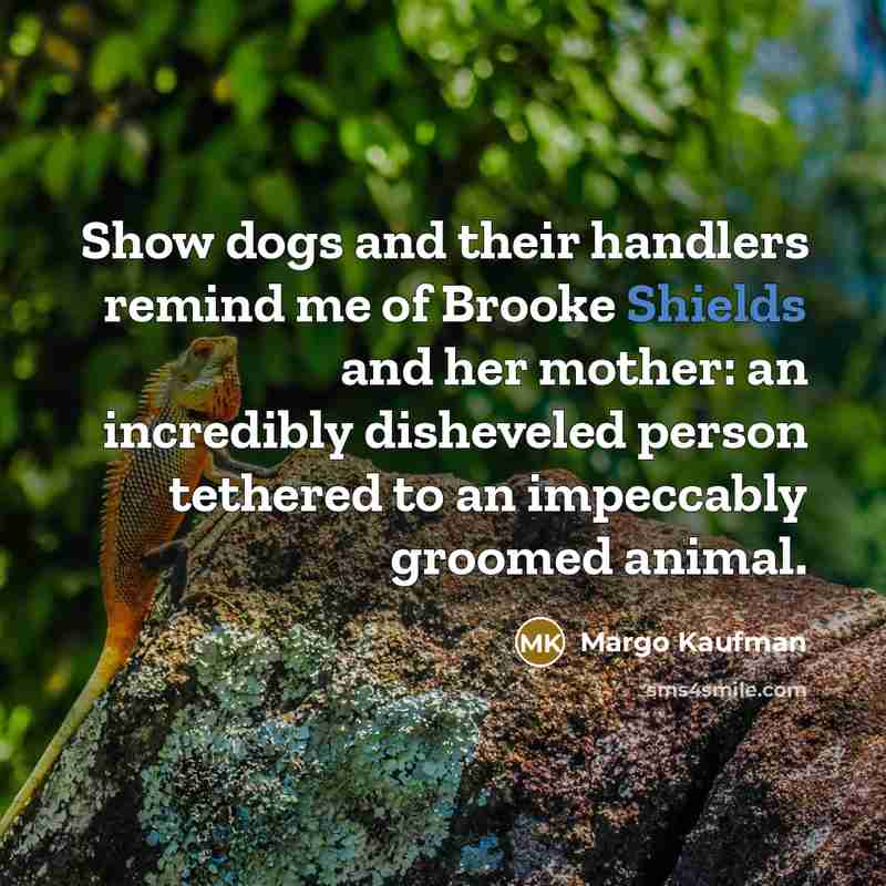 “Show dogs and their handlers remind me of Brooke Shields…” quote by Margo Kaufman