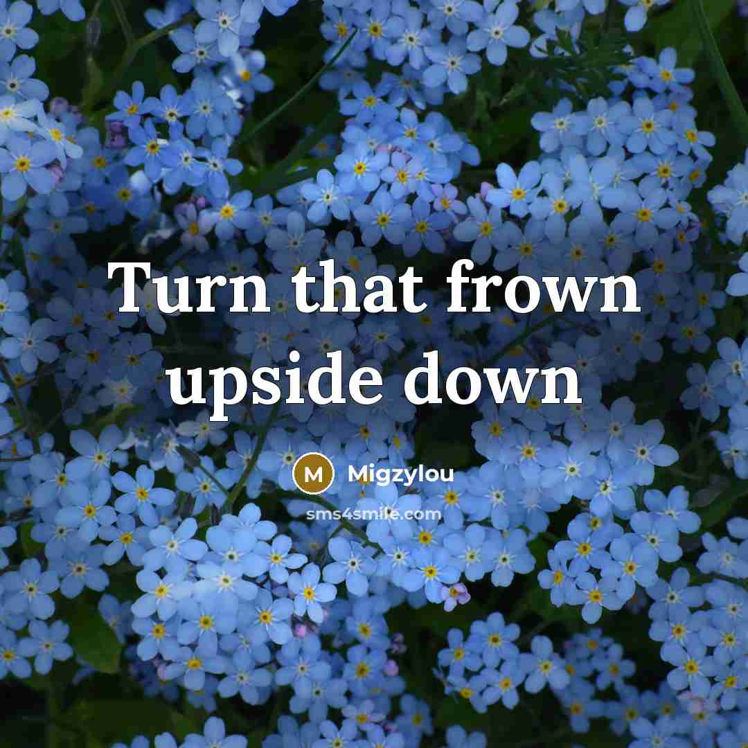 “Turn that frown upside down…” quote by Migzylou