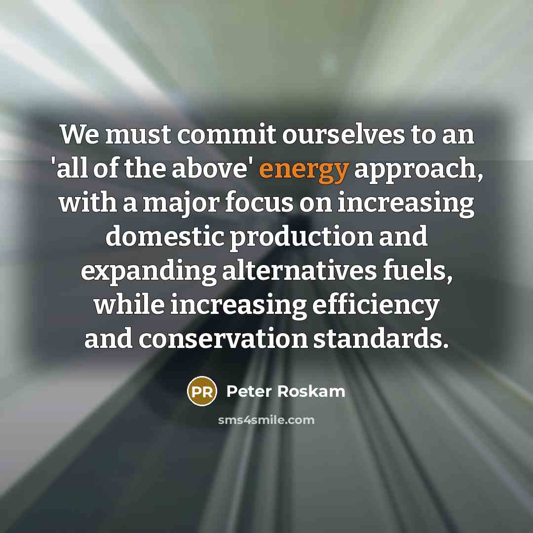 “We must commit ourselves to an 'all of the above'…” quote by Peter Roskam