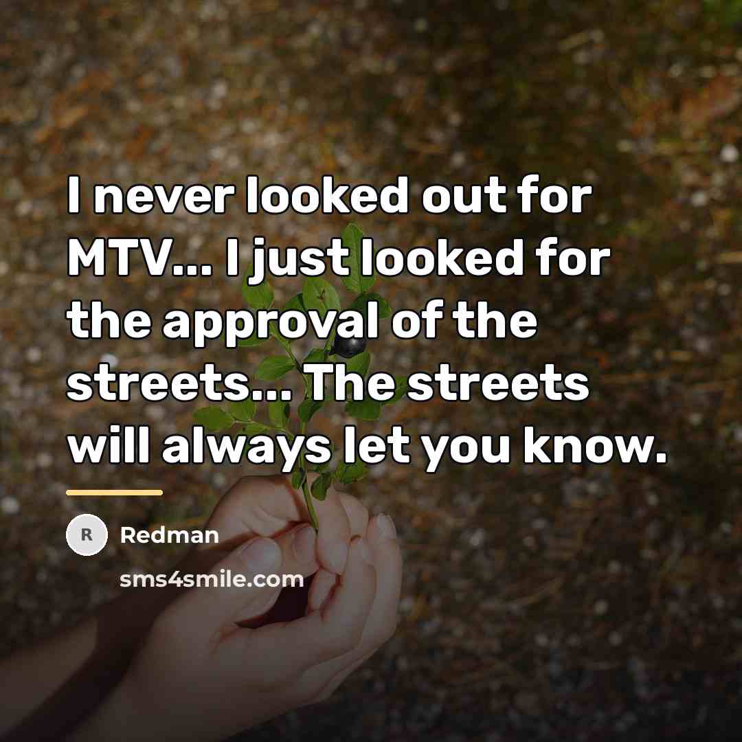 “I never looked out for MTV... I just looked for…” quote by Redman