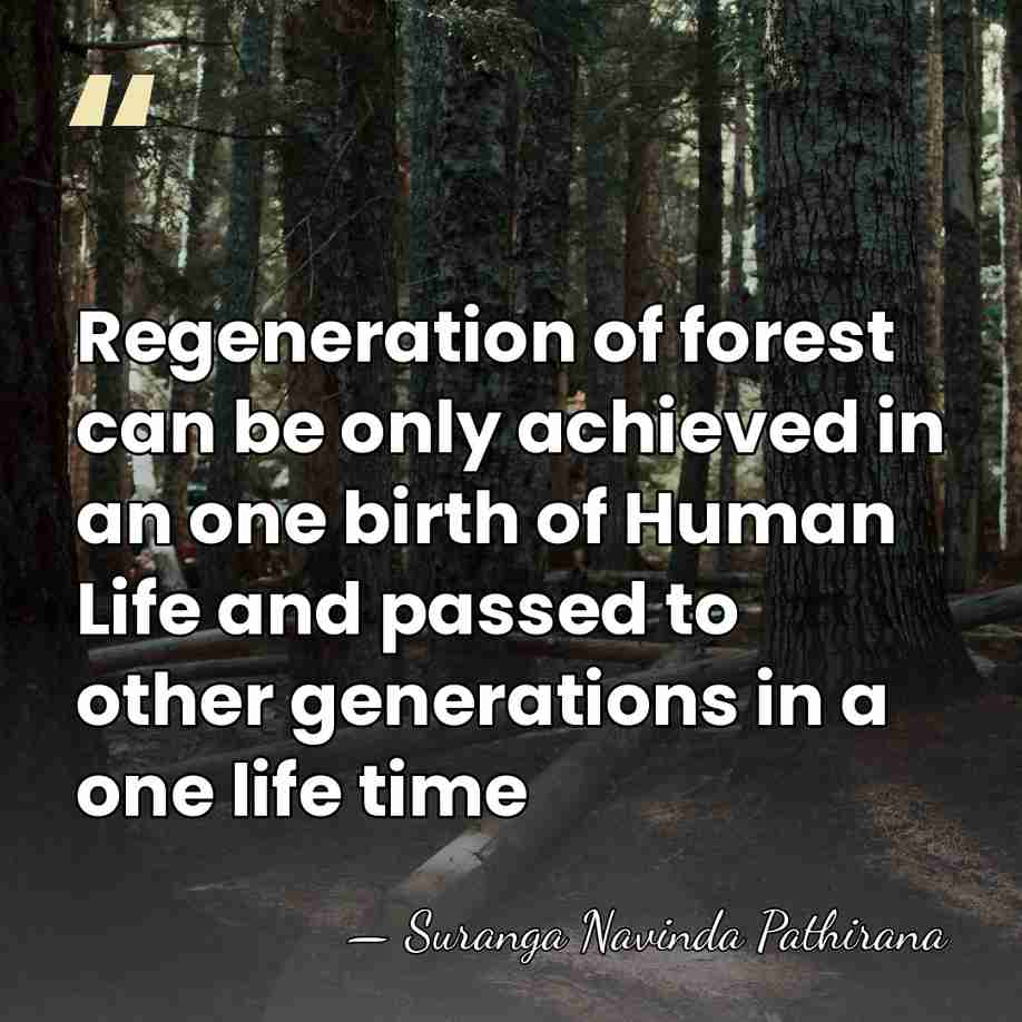 Regeneration of forest can be only achieved in an one birth of&hellip; - Suranga Navinda Pathirana