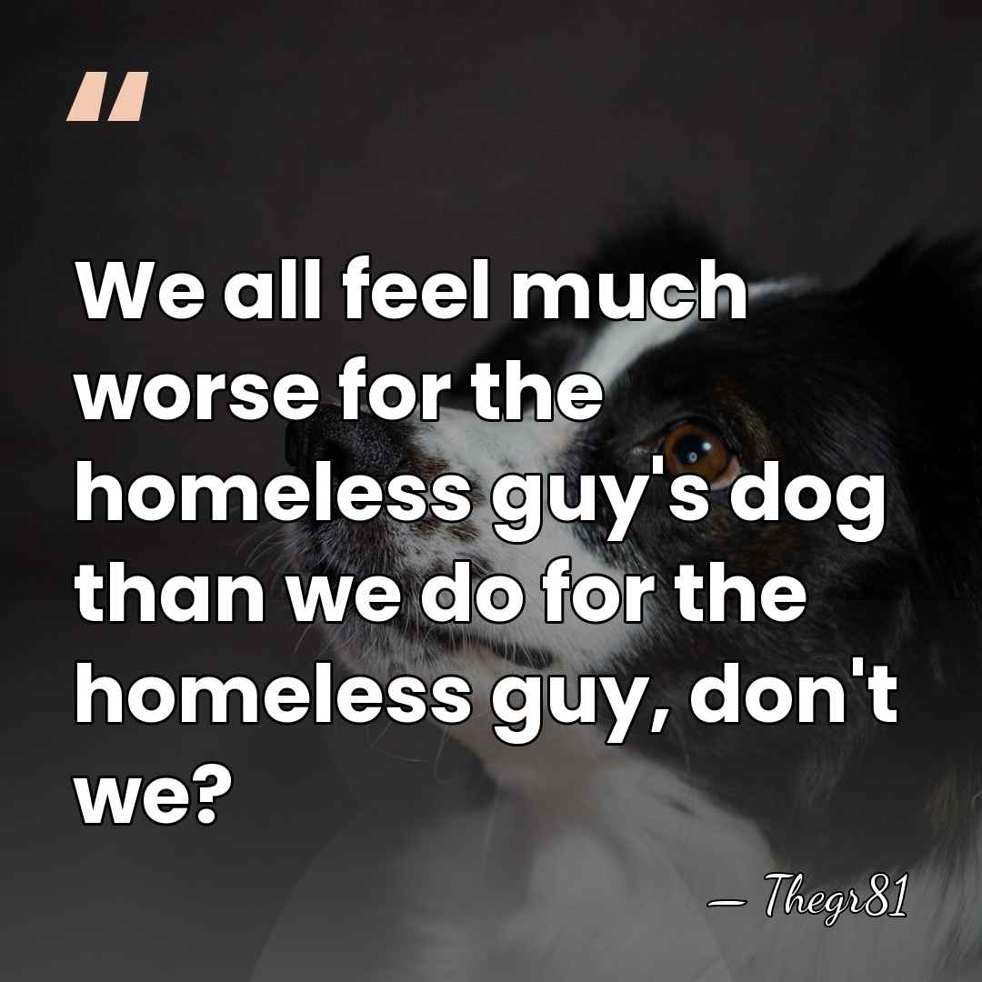 We all feel much worse for the homeless guy's dog than we&hellip; - Thegr81