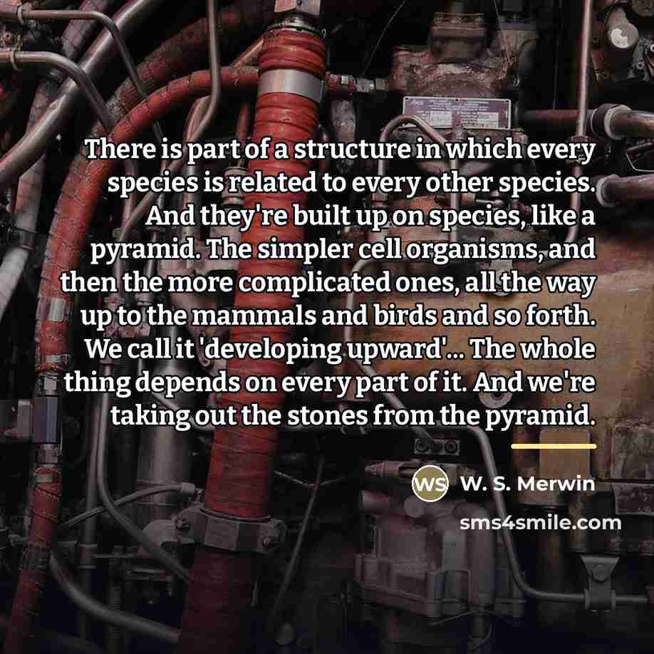 “There is part of a structure in which every species…” quote by W. S. Merwin