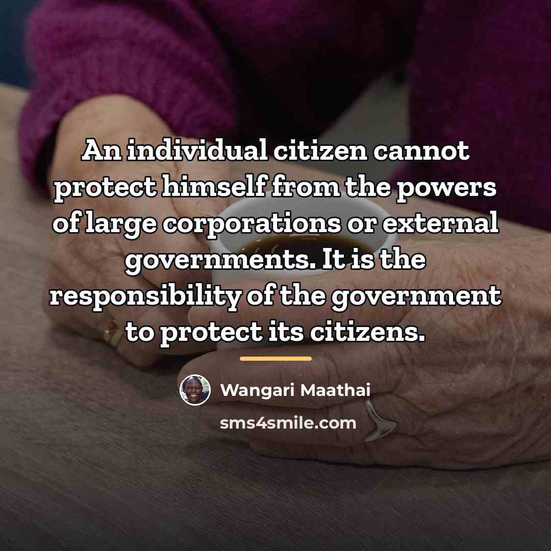“An individual citizen cannot protect himself from the powers of…” quote by Wangari Maathai