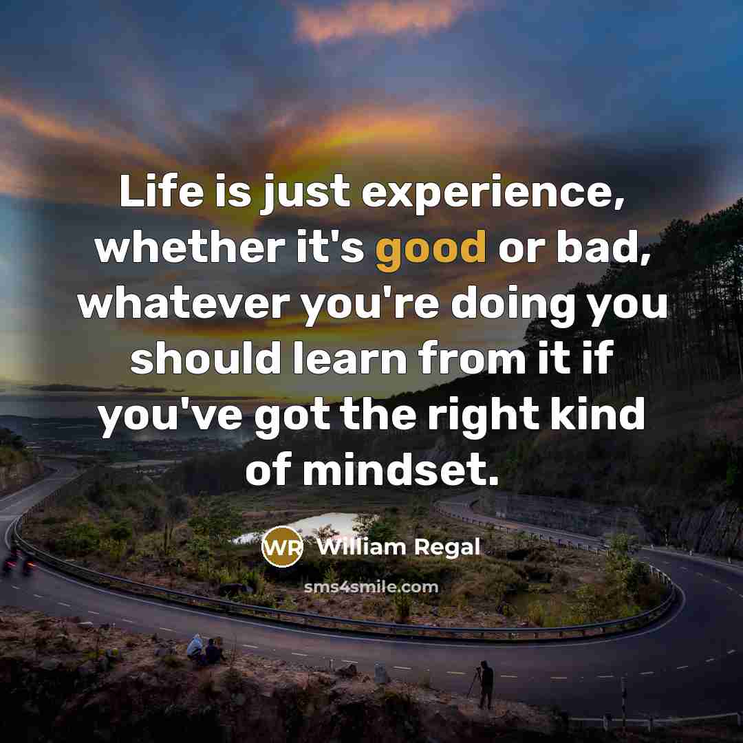 “Life is just experience, whether it's good or bad, whatever…” quote by William Regal