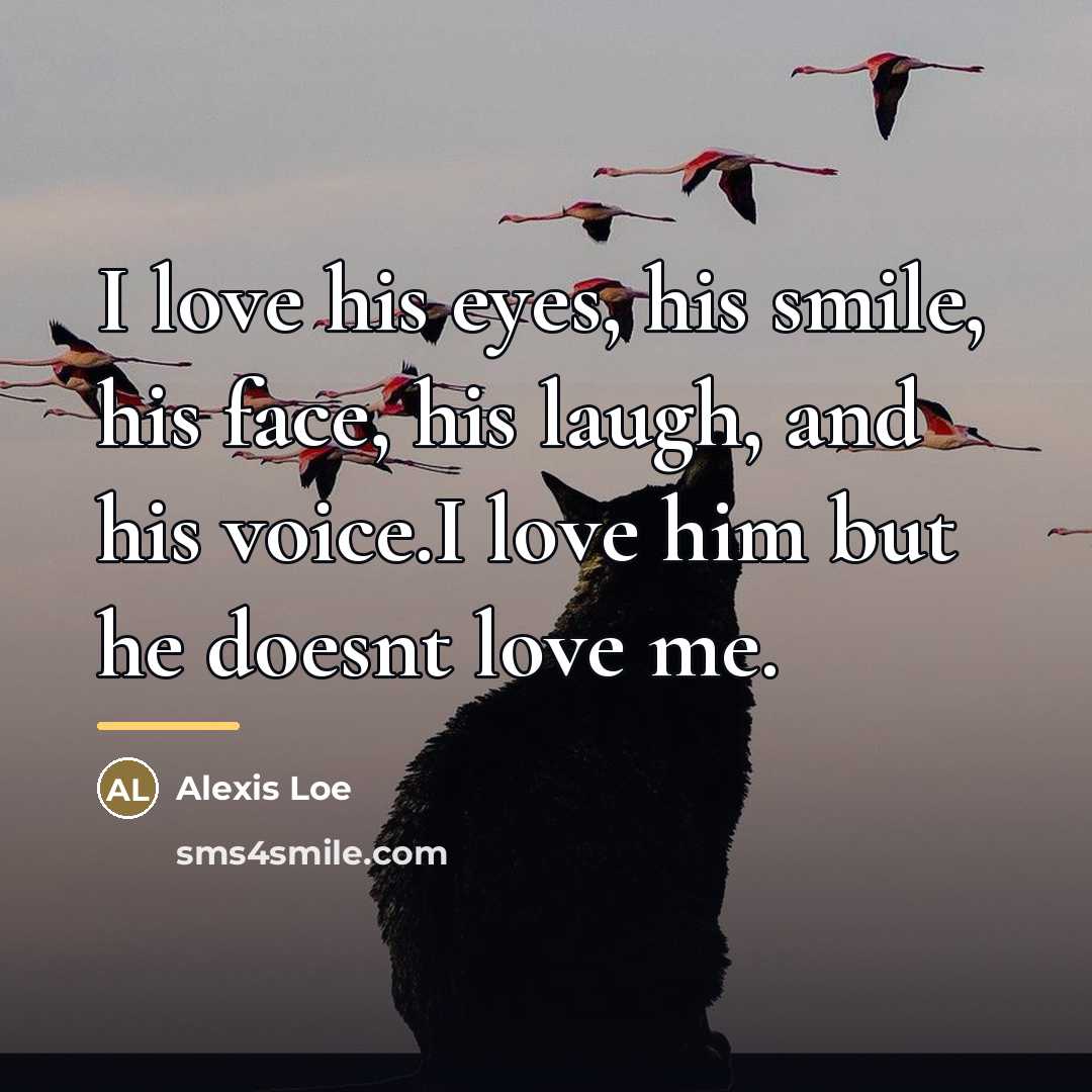 “I love his eyes, his smile, his face, his laugh,…” quote by Alexis Loe