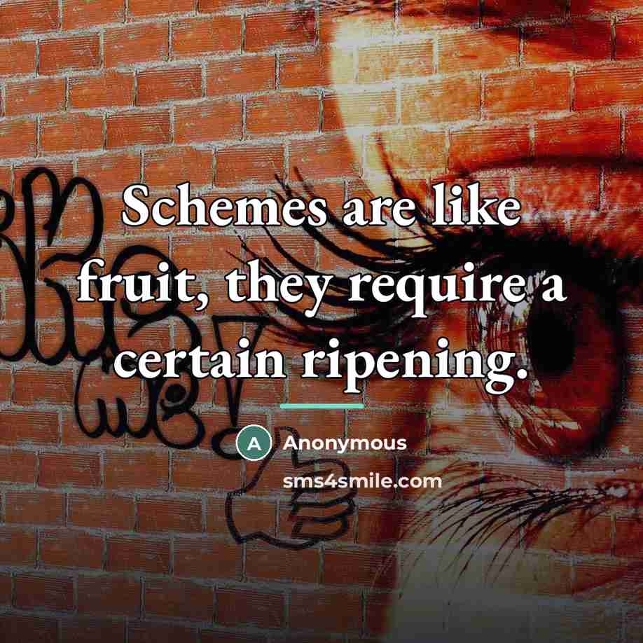 “Schemes are like fruit, they require a certain ripening.…” quote by Anonymous