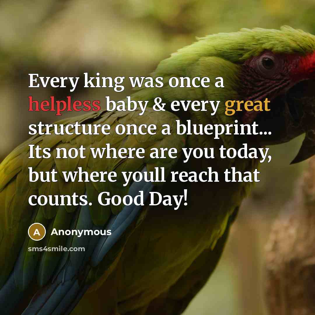 “Every king was once a helpless baby & every great structure once a blueprint... Its not where are you today, but where youll reach that counts. Good Day!” quote by Anonymous