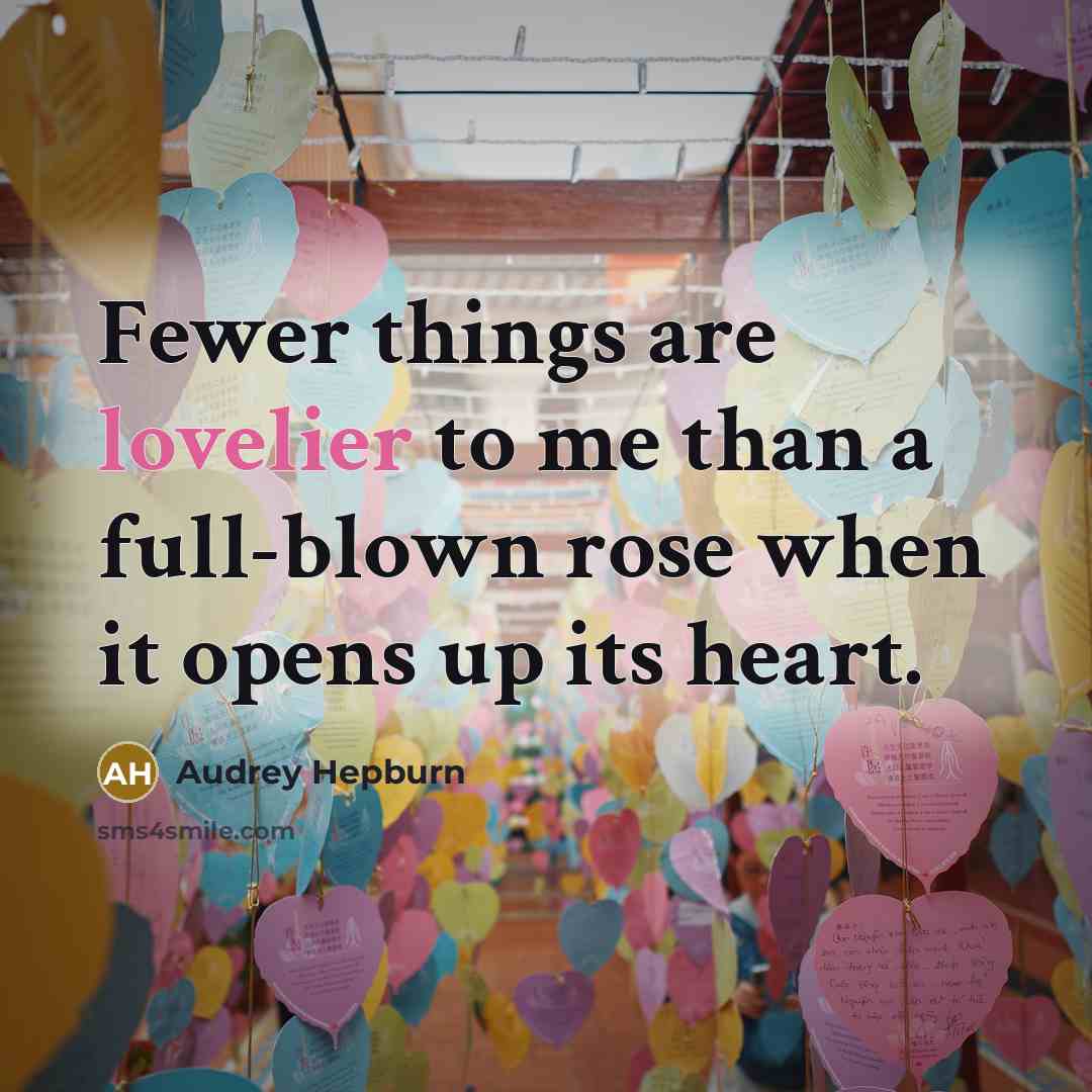 “Fewer things are lovelier to me than a full-blown rose…” quote by Audrey Hepburn