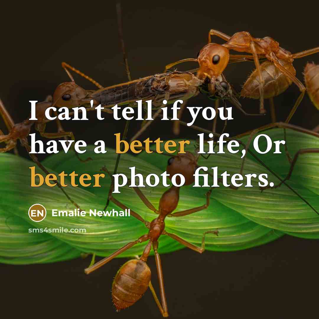 “I can't tell if you have a better life, Or…” quote by Emalie Newhall