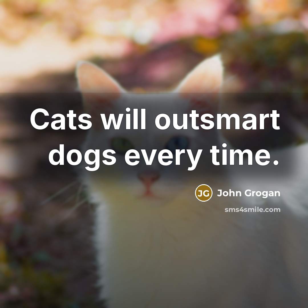 “Cats will outsmart dogs every time.…” quote by John Grogan