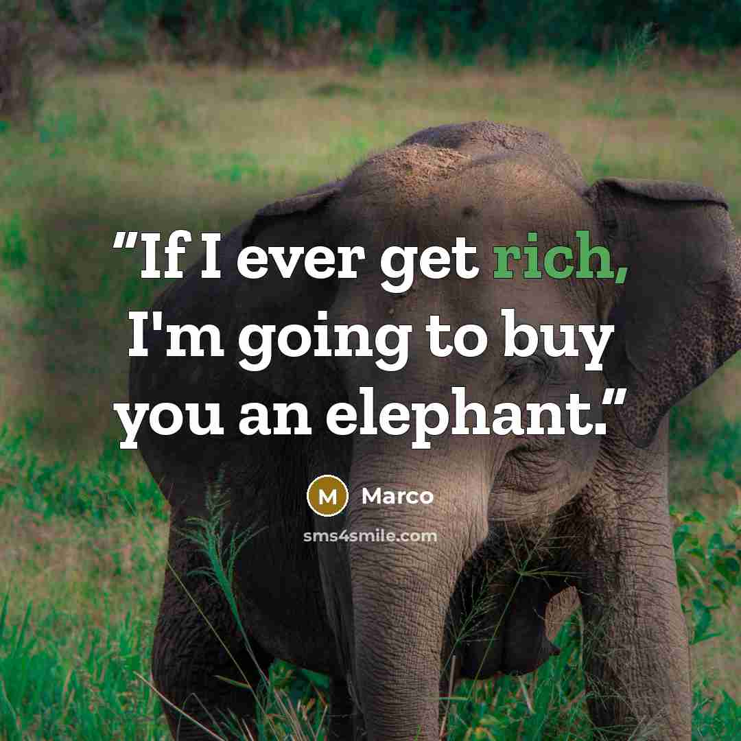 “If I ever get rich, I'm going to buy you an elephant.” quote by Marco