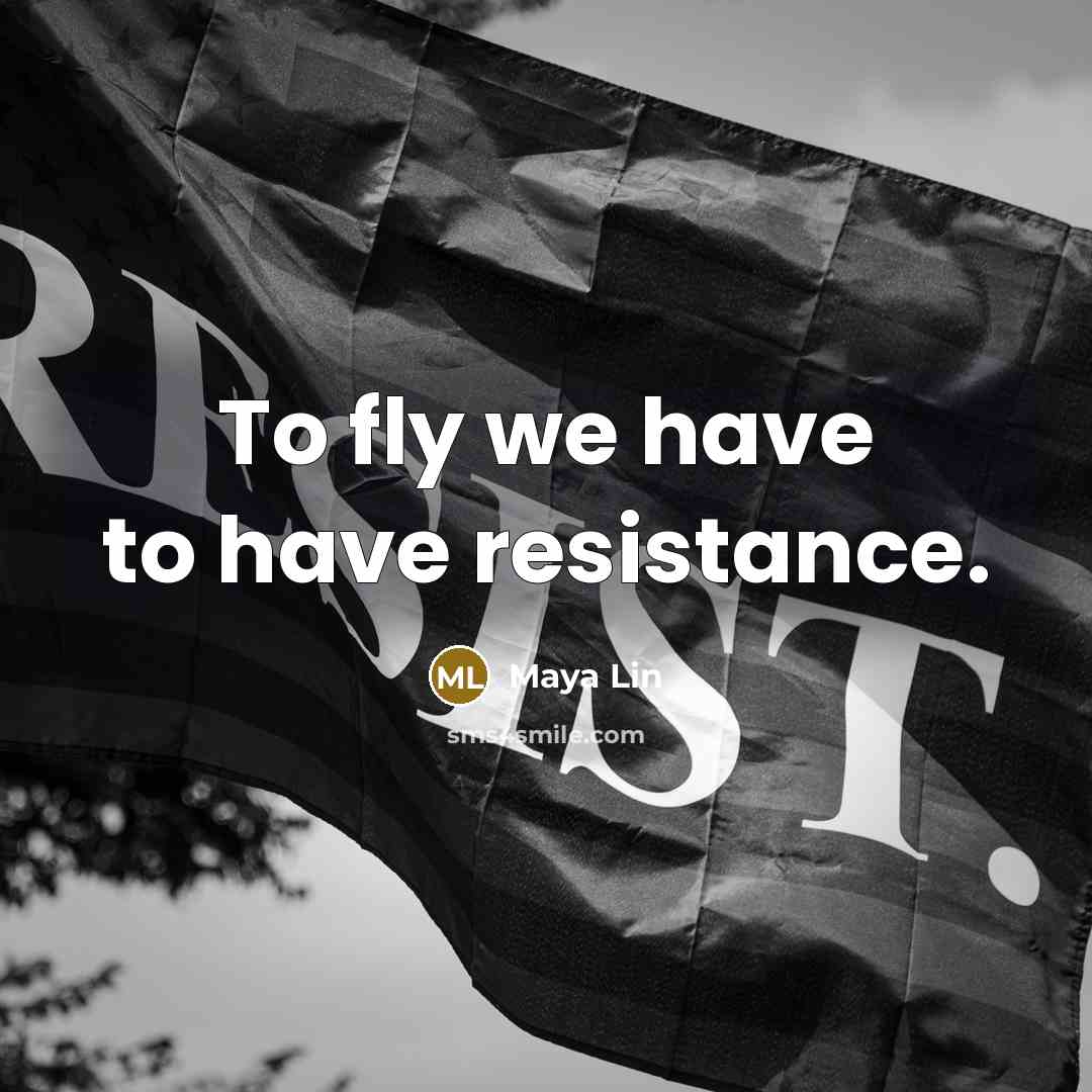 “To fly we have to have resistance.…” quote by Maya Lin