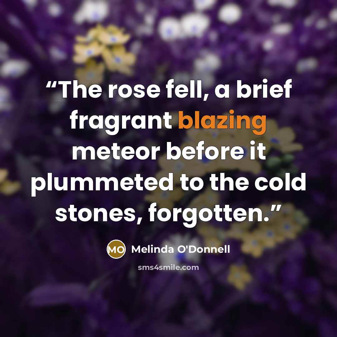 “The rose fell, a brief fragrant blazing meteor before it plummeted to the cold stones, forgotten.” quote by Melinda O'Donnell